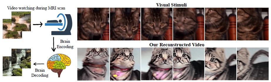 MinD-Video model creates high-quality videos from your brain activity